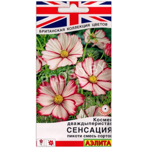 Космея дваждыперистая Сенсация пикоти, смесь