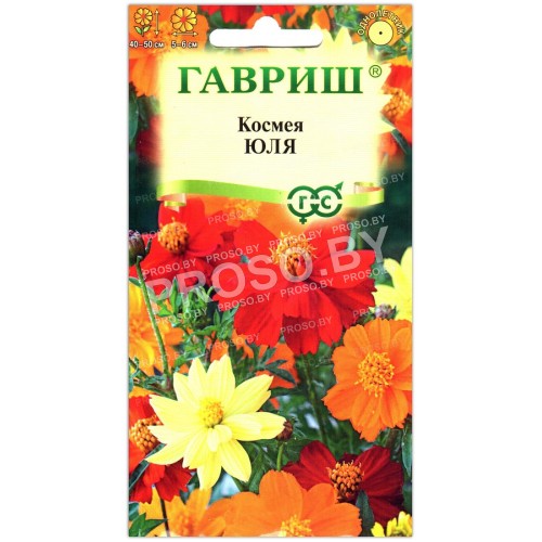 Космея Юля