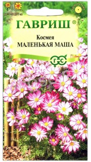 Космея Маленькая маша