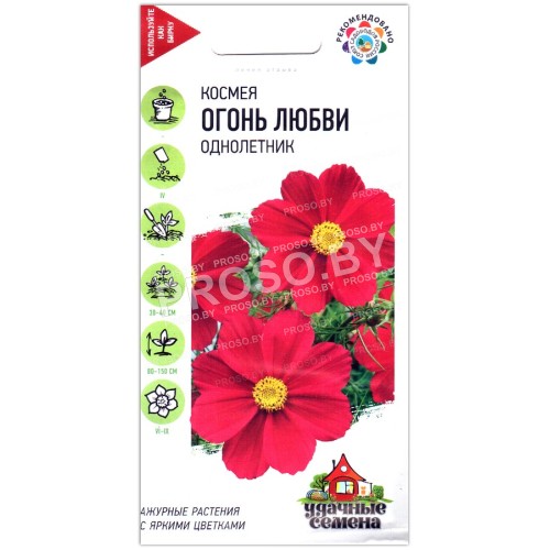 Космея Огонь любви