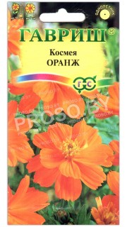 Космея Оранж