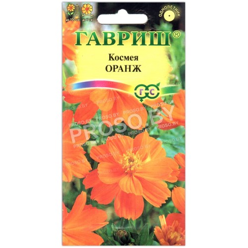 Космея Оранж