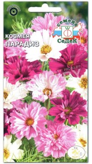 Космея Парадиз