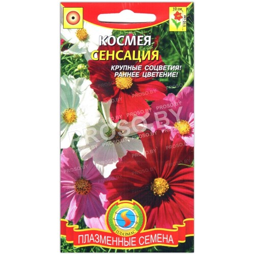 Космея Сенсация, смесь-1