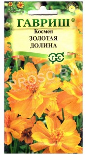 Космея Золотая долина