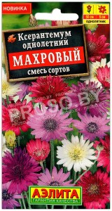Ксерантемум Махровый, смесь