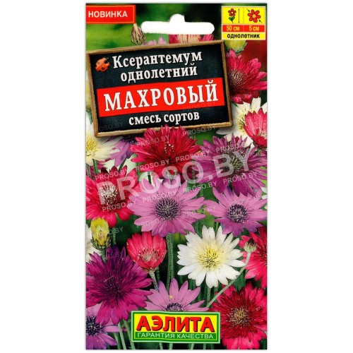 Ксерантемум Махровый, смесь