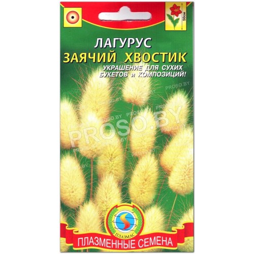 Лагурус Заячий хвостик-3