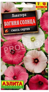 Лаватера Богиня солнца, смесь
