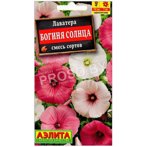 Лаватера Богиня солнца, смесь
