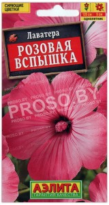 Лаватера Розовая вспышка