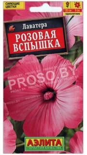 Лаватера Розовая вспышка