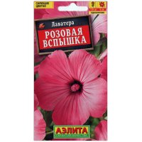 Лаватера Розовая вспышка