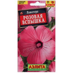 Лаватера Розовая вспышка