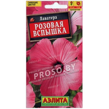 Лаватера Розовая вспышка