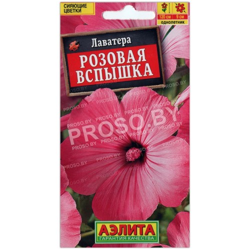 Лаватера Розовая вспышка