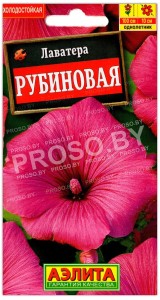 Лаватера Рубиновая