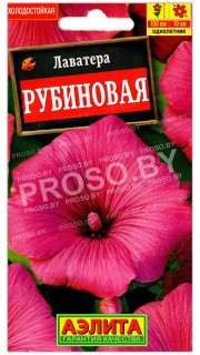 Лаватера Рубиновая