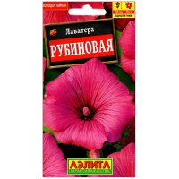 Лаватера Рубиновая