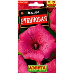 Лаватера Рубиновая