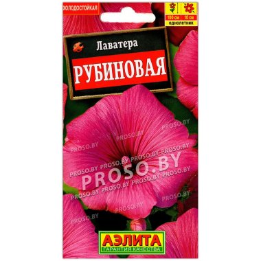 Лаватера Рубиновая