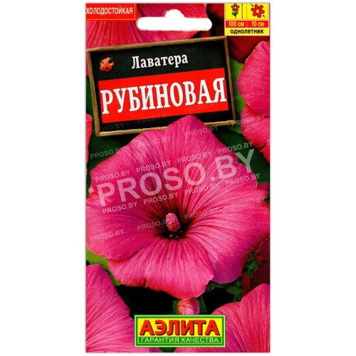 Лаватера Рубиновая