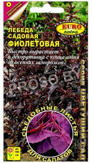 Лебеда садовая Фиолетовая