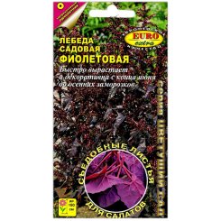 Лебеда садовая Фиолетовая