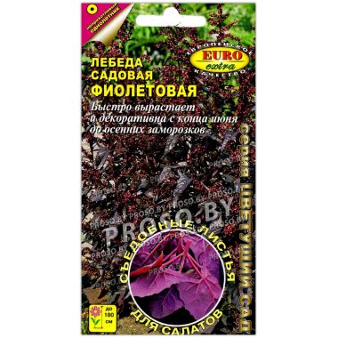 Лебеда садовая Фиолетовая