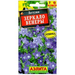 Легузия Зеркало венеры