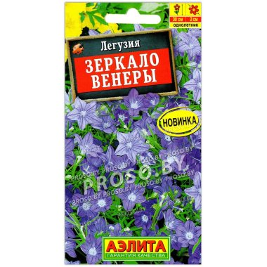 Легузия Зеркало венеры