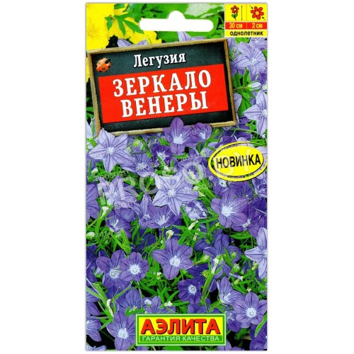 Легузия Зеркало венеры