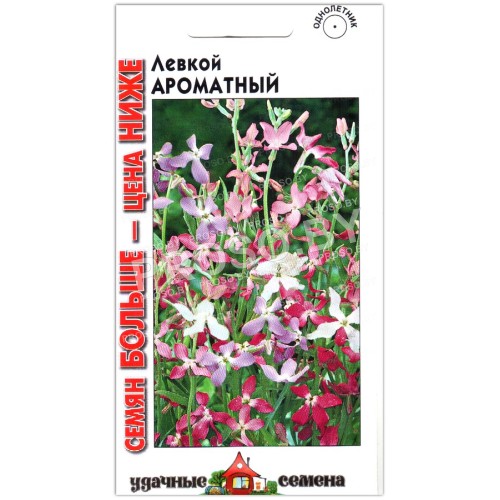 Маттиола (левкой) Ароматная
