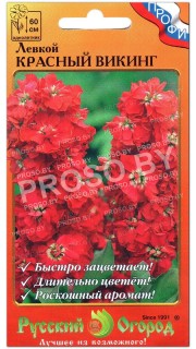 Левкой Красный викинг