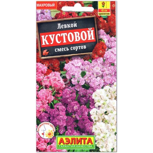 Левкой кустовой Смесь окрасок