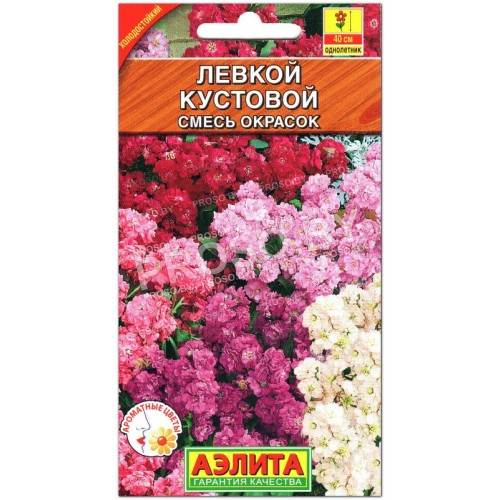 Левкой кустовой Смесь окрасок-1