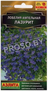 Лобелия ампельная Лазурит