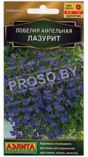 Лобелия ампельная Лазурит