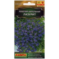 Лобелия ампельная Лазурит