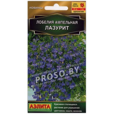 Лобелия ампельная Лазурит