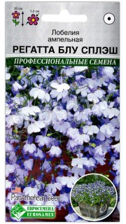 Лобелия ампельная Регатта блю сплэш