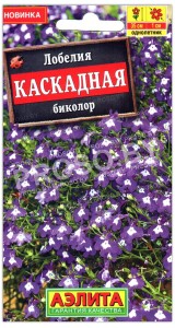 Лобелия Каскадная биколор