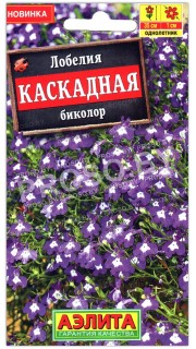 Лобелия Каскадная биколор