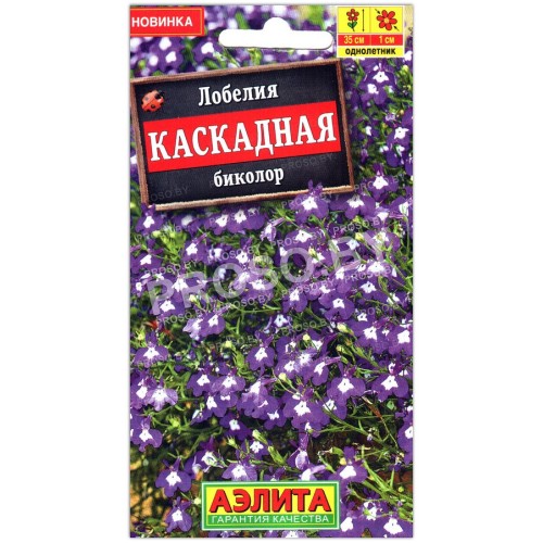Лобелия Каскадная биколор