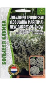 Лобулярия приморская New carpet of snow