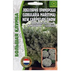 Лобулярия приморская New carpet of snow