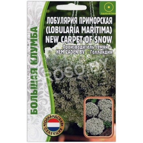 Лобулярия приморская New carpet of snow