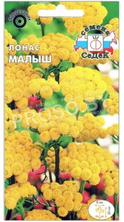 Лонас Малыш
