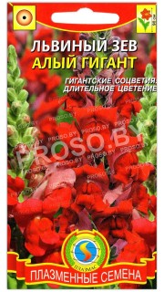 Львиный зев Алый гигант