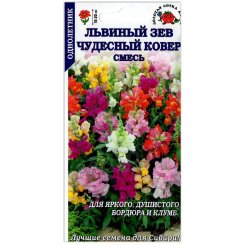 Львиный зев Чудесный ковер, смесь